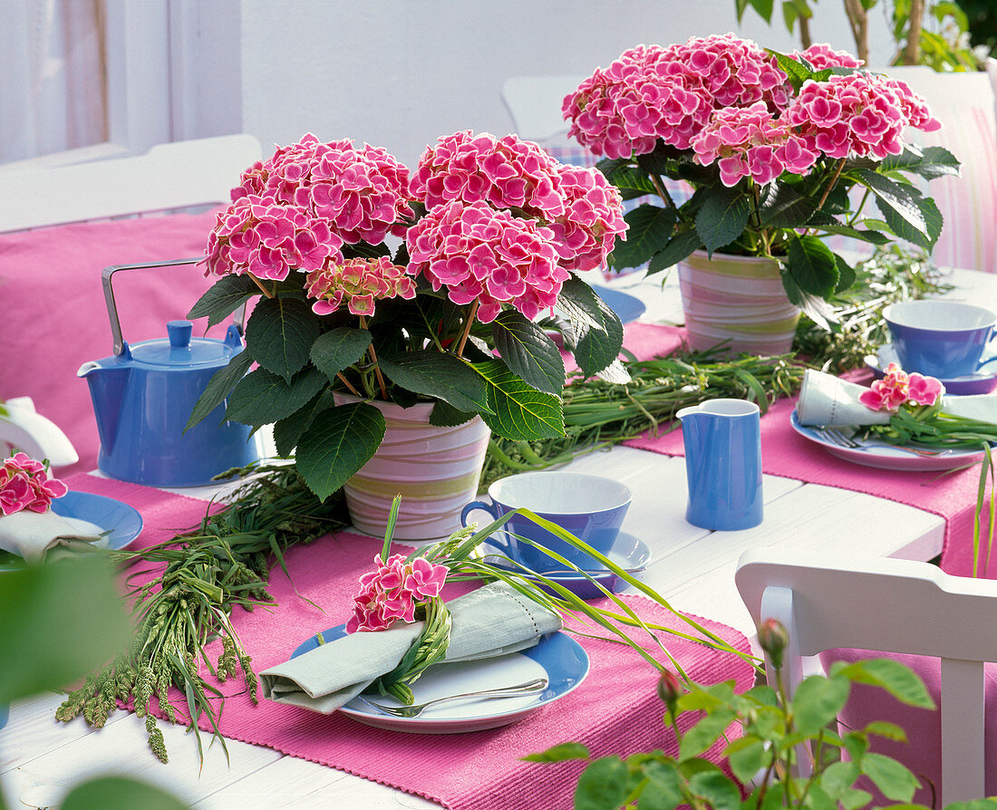 Table decoration with Hydrangea 'Tivoli', braid made of grasses