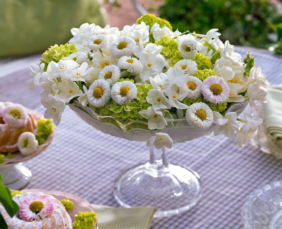 Gesteck aus Narcissus (Narzissen), Bellis (Tausendschön), Viburnum