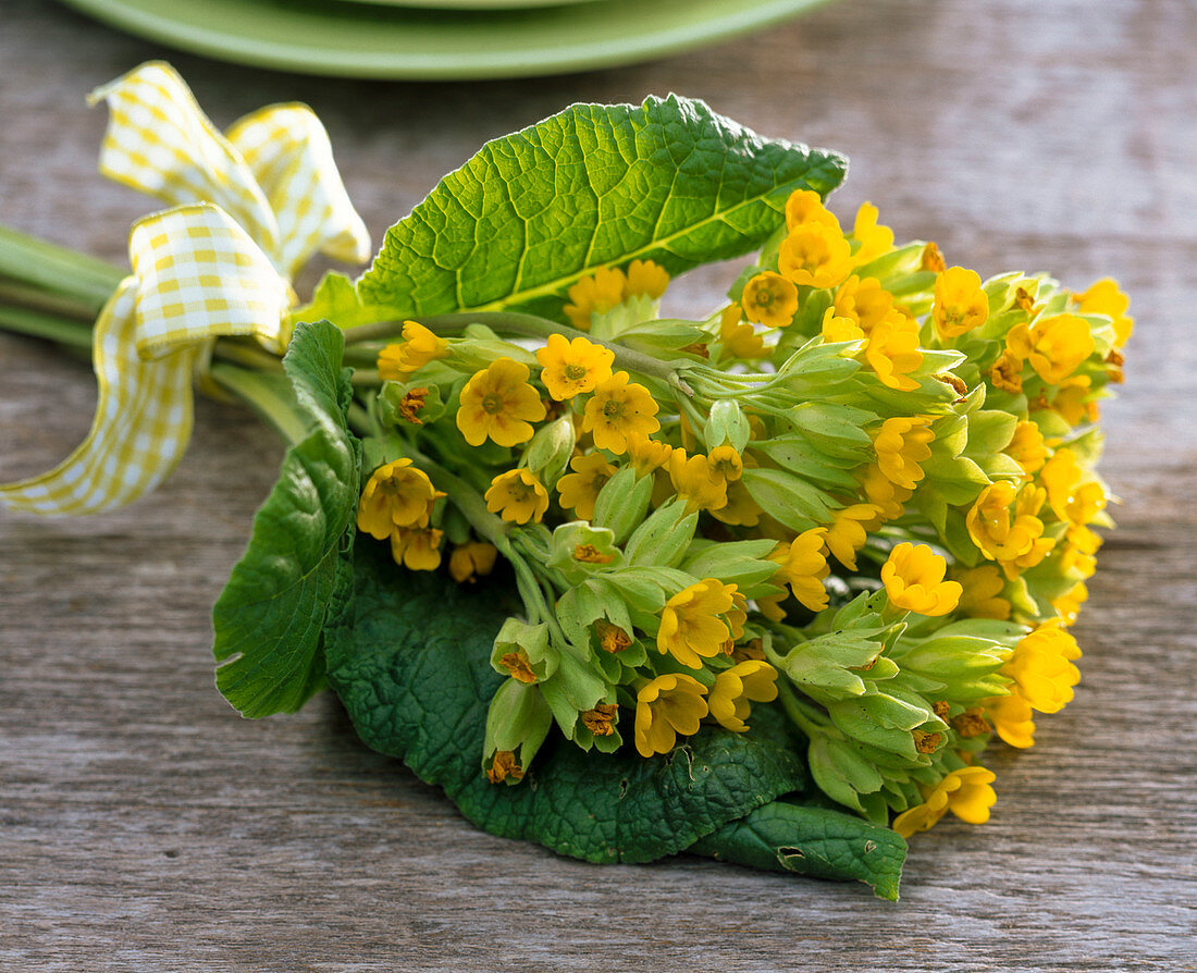 Bouquet made of primula veris (cowslip)