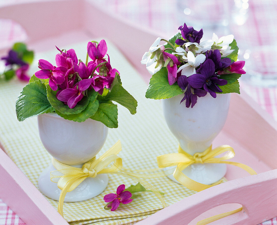 Small bouquets of viola (violets) in eggcups