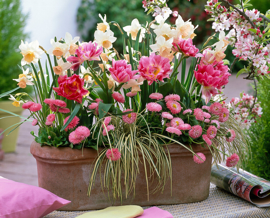 Plant Jardiniere out of clay