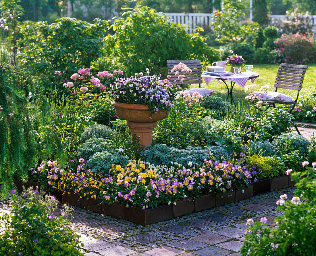 Terrace bed with herbs and viola