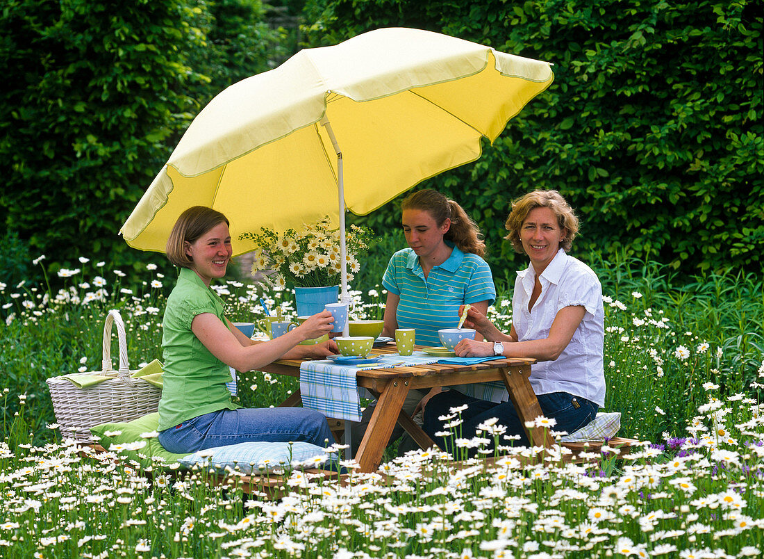 Gedeckter Tisch in Wiese aus Leucanthemum (Frühlingsmargeriten)