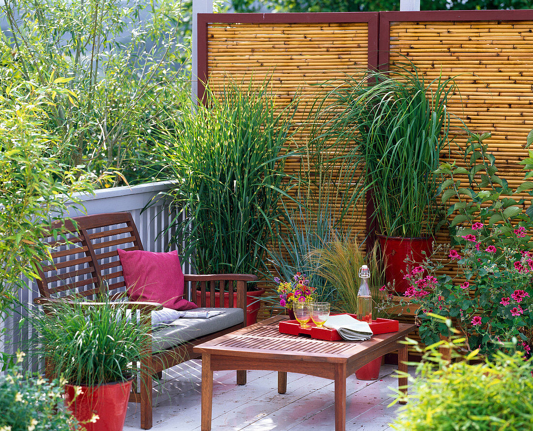 Balcony with grasses v.l.n.r.-Deschampsia, Miscanthus sinensis