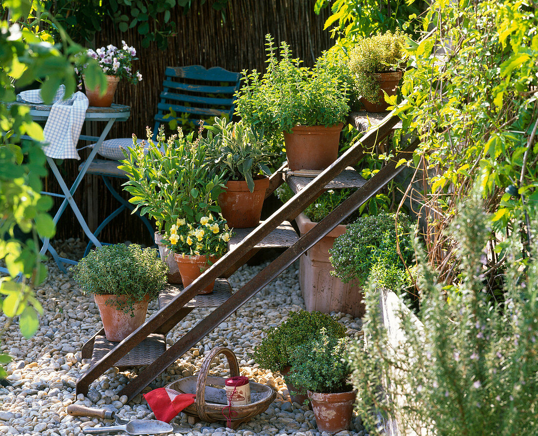 Old iron staircase converted as a plant staircase