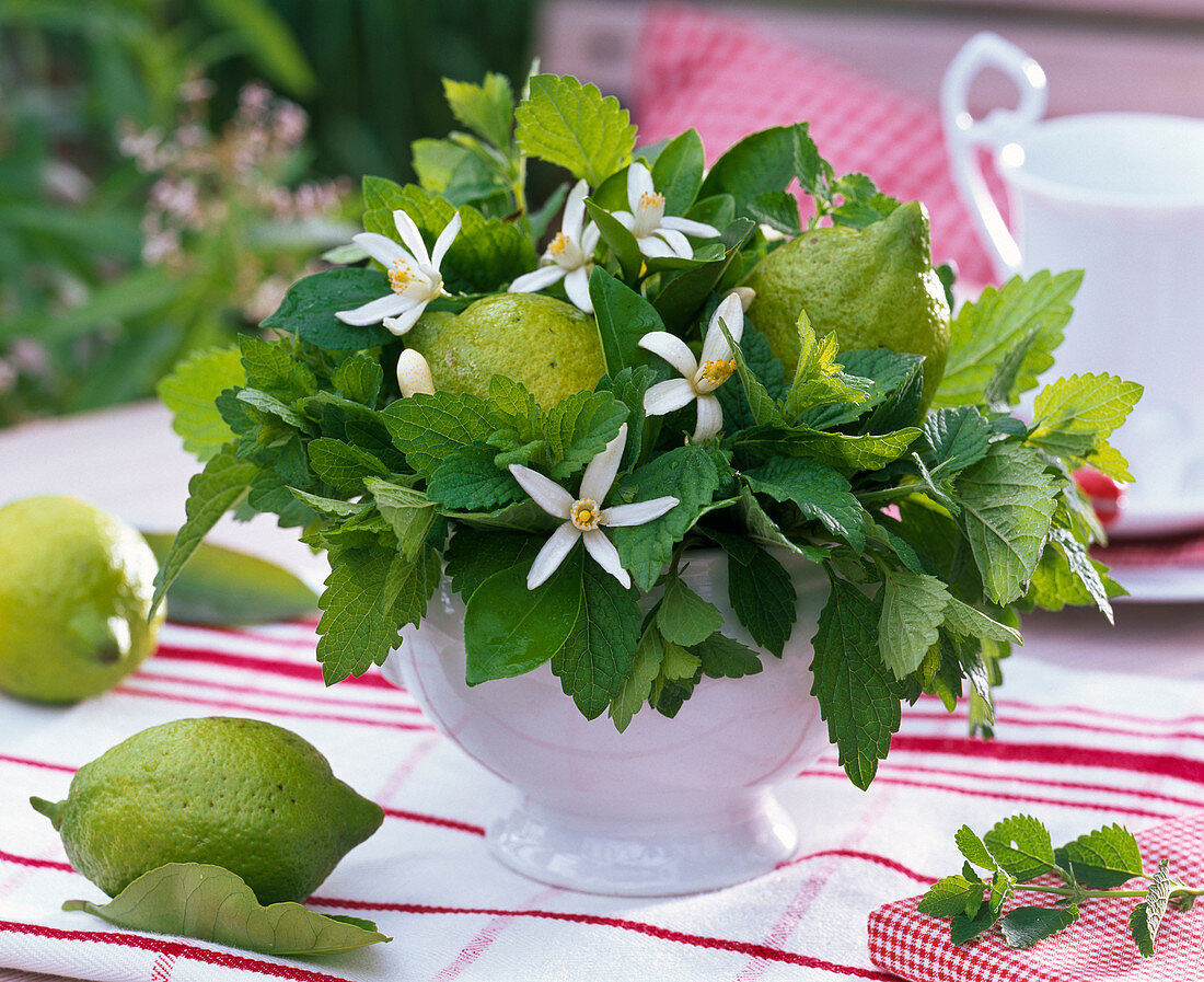 Gesteck aus Melissa (Zitronenmelisse), Citrus (Limetten, Früchte und Zweige)