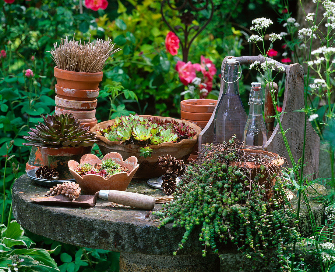 Working still with clay pots, hand scoop, pot with swivel binders