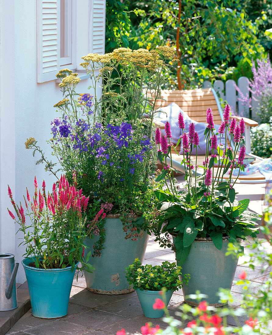 Turquoise pots planted differently