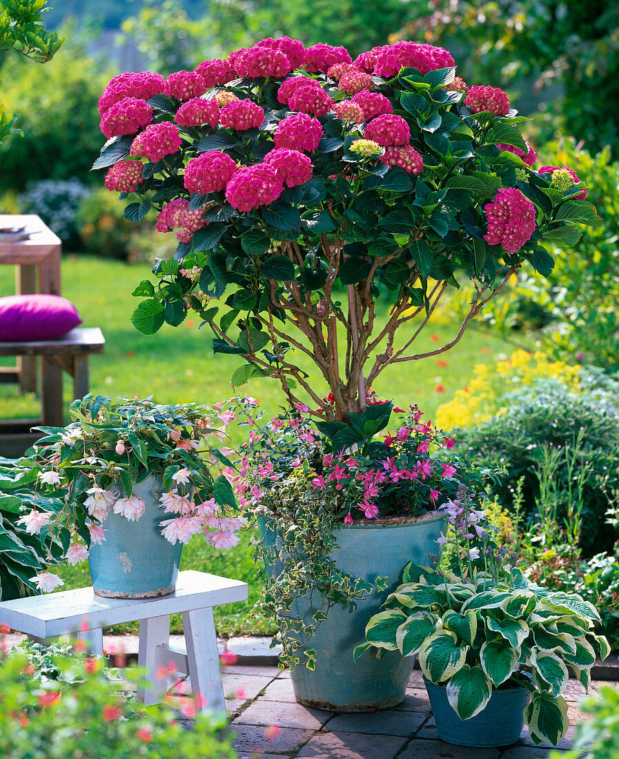 Turquoise pots planted differently