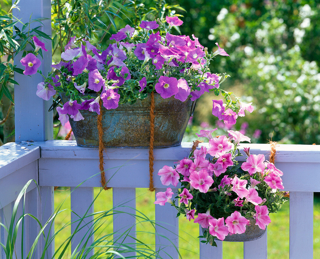 Metall - Wannen als alternative Blumenkästen