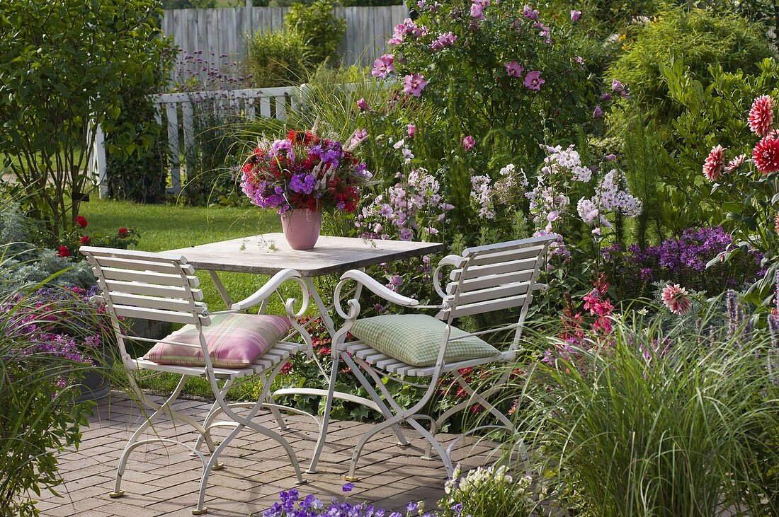 Hibiscus syriacus 'Woodbridge' (garden hibiscus), Phlox 'Kirmesländler' (fairground phlox)