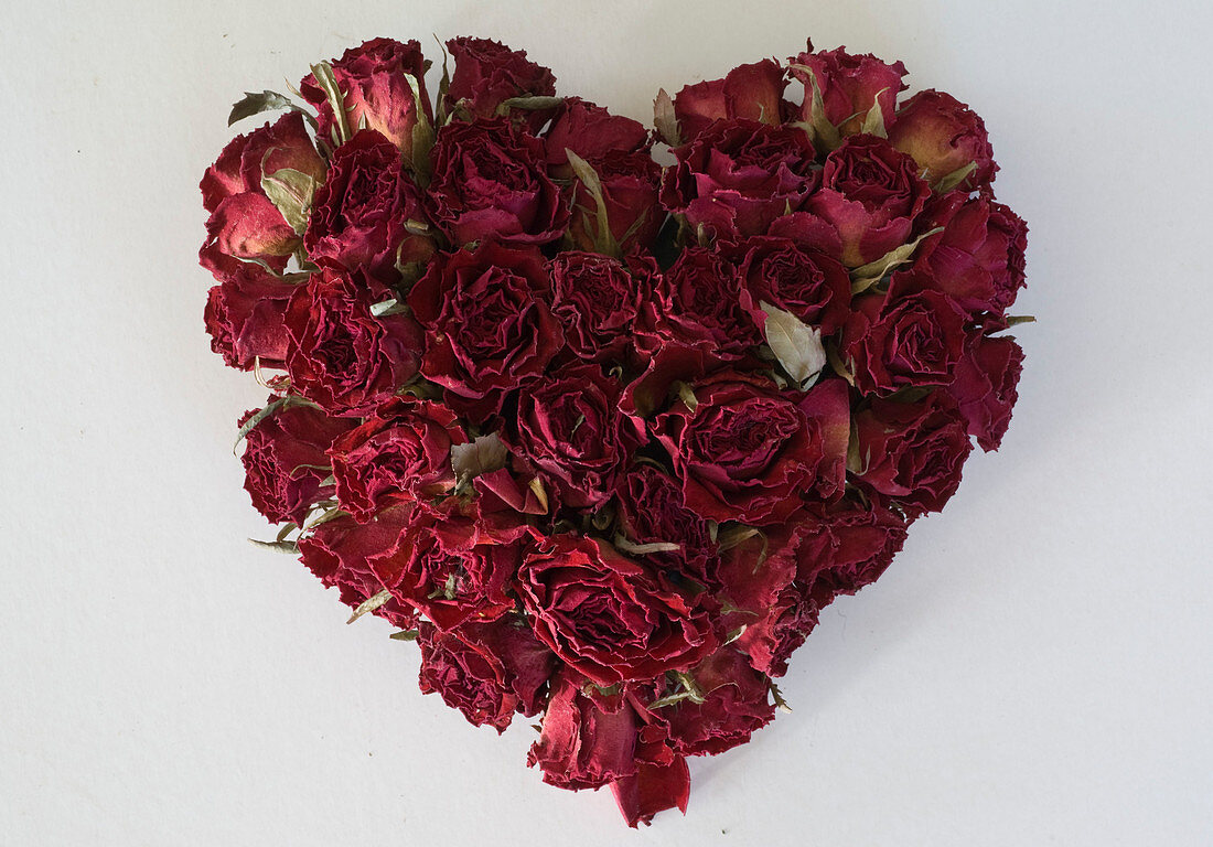 Heart of dried pinks (rose petals) staked