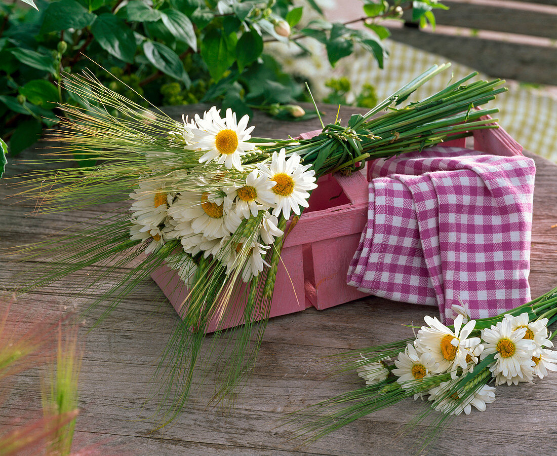 Bouquet of Leucanthemum (spring daisies) and Hordeum (barley)