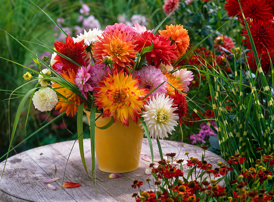 Strauß aus verschiedenen Dahlia (Dahlien) und Miscanthus (Chinaschilf) in Krug