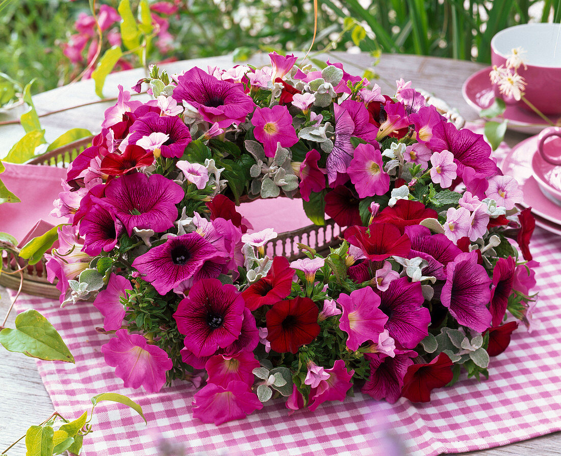 Kranz aus verschiedenen Petunia (Petunien) und Helichrysum (Strukturpflanze)