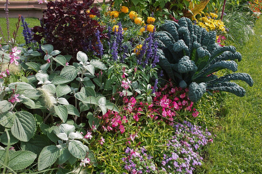 Summer border with flowers and vegetables