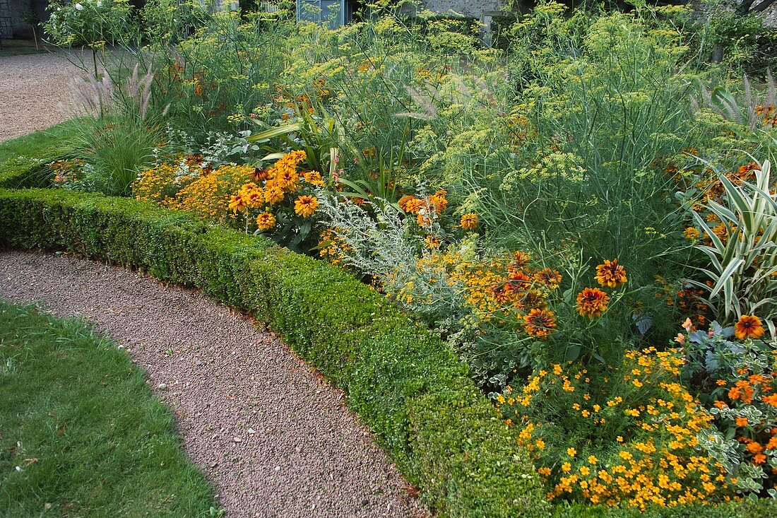 Summer bed with box hedge