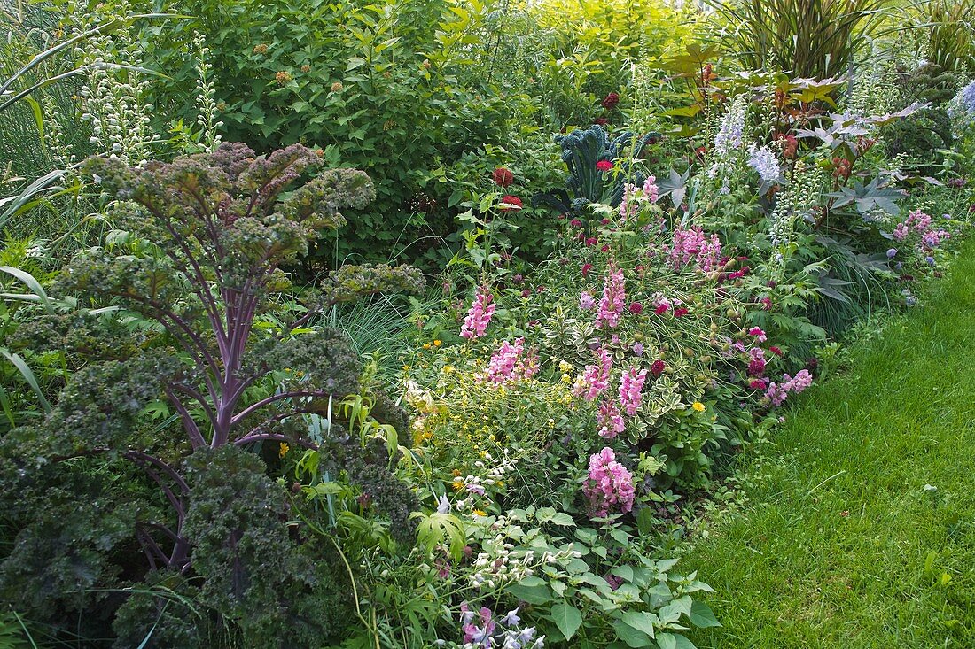 Summer border with flowers and vegetables