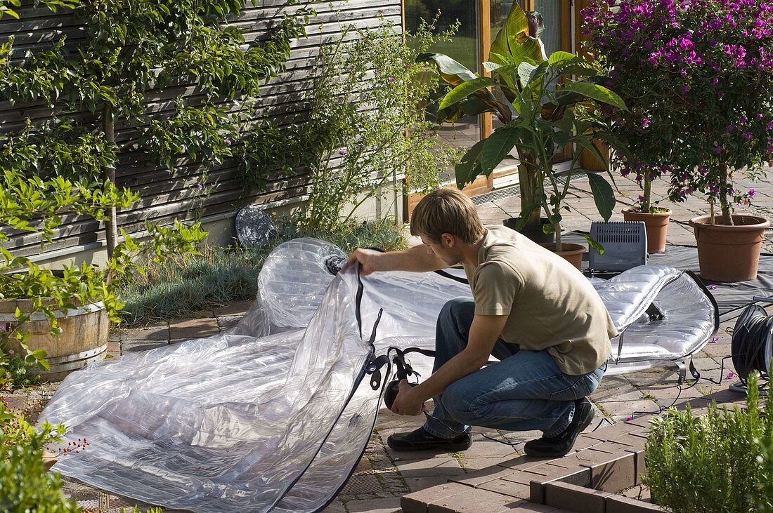 Inflatable greenhouse for overwintering potted plants (9/18)