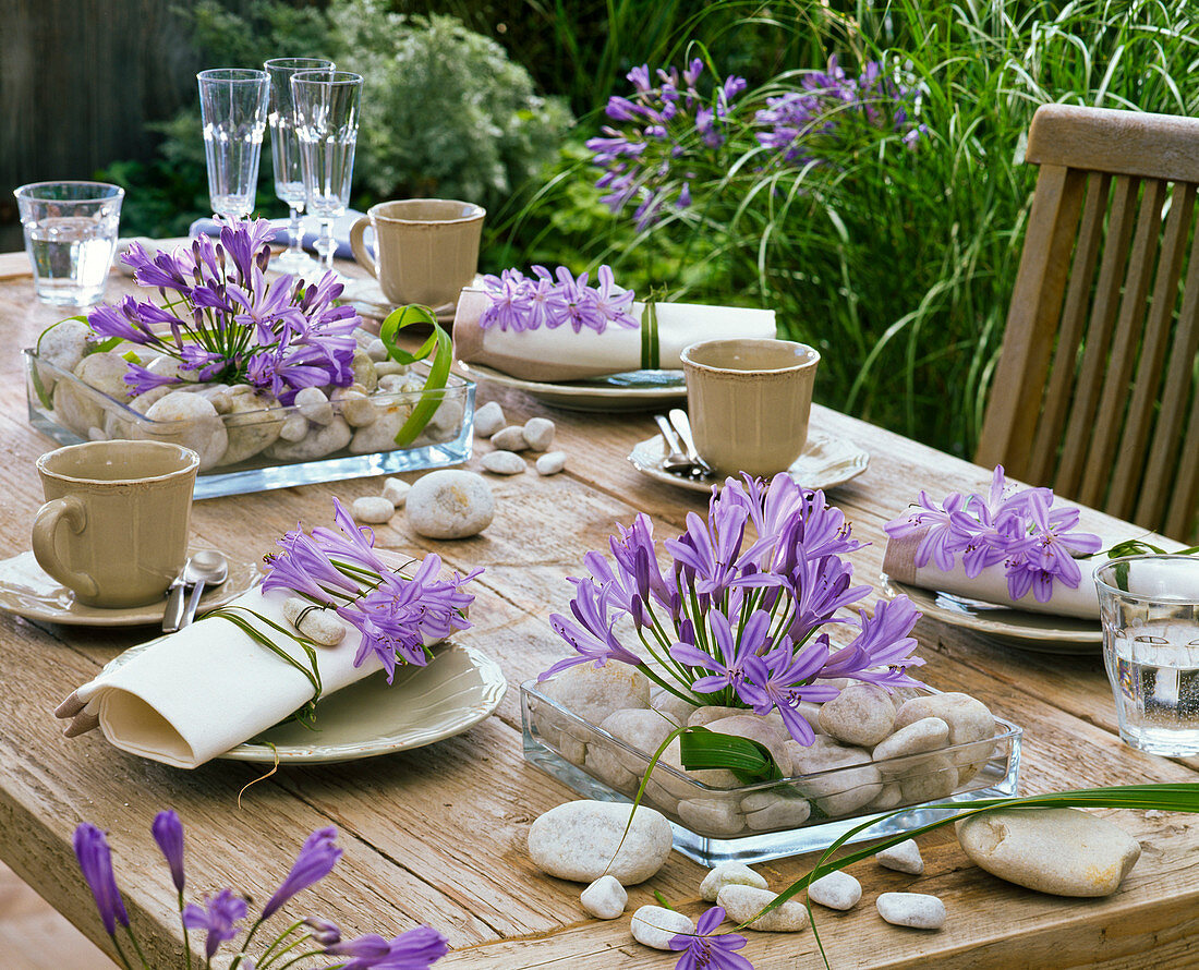 Table decoration with African ornamental lily