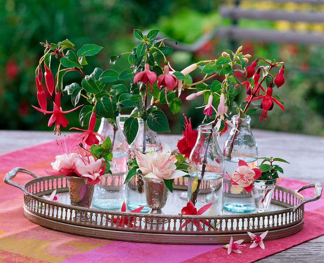 Fuchsia (various fuchsias) in small bottles and silver cups