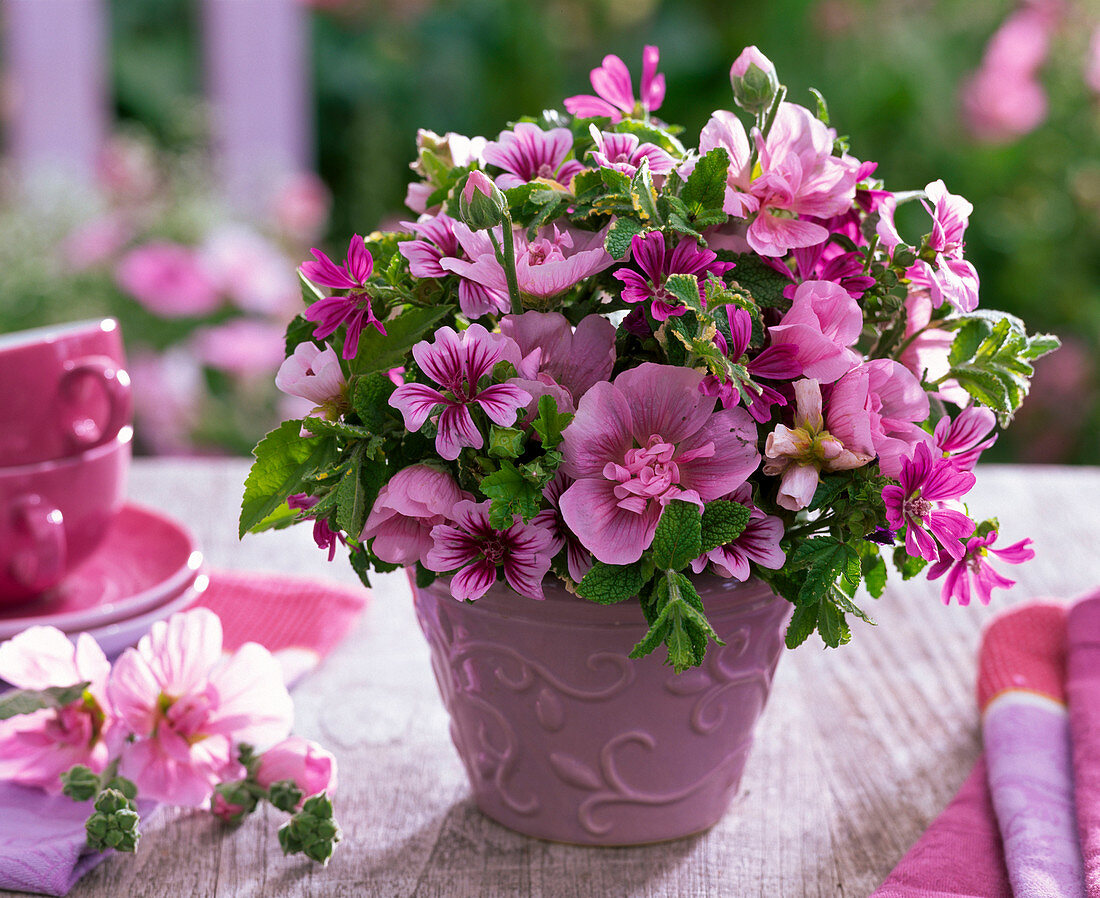 Strauß aus Malva (Malven), Alcea (Stockrosen) und Mentha (Minzen)