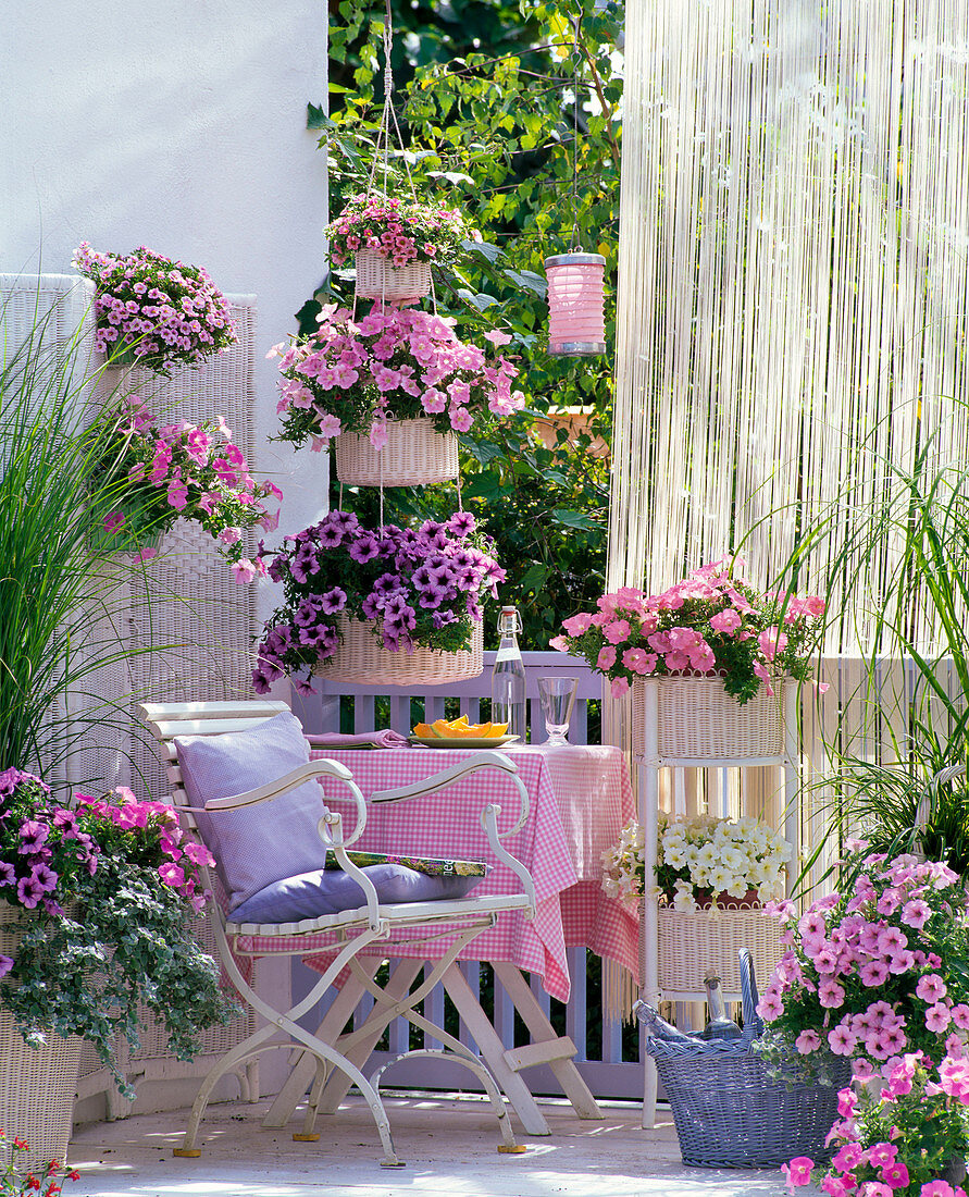 Petunias balcony