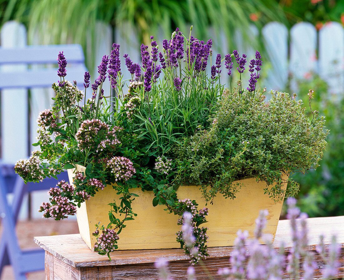 Herbs box