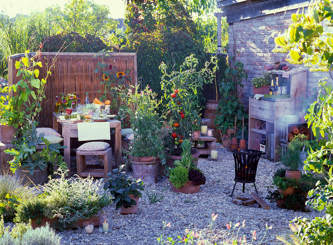 LOHAS - Serie - Terrasse mit Feuerkorb, Lycopersicon (Tomate), Lathyrus odoratus (Duftwicken), Phaseolus coccineus (Feuerbohnen), Cucurbita (Zucchini), Topfturm und Kasten mit Kräutern