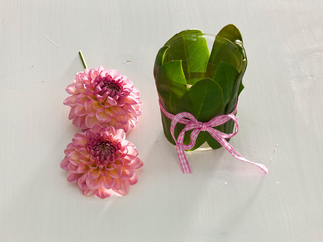 Dahlienblüten in Gläsern mit Rhododendronblättern (5/6)