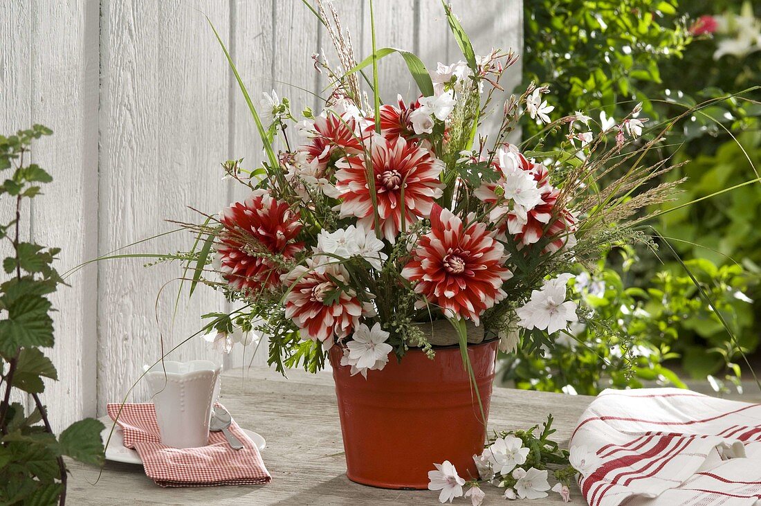 Late summer bouquet from Dahlia 'Dütt', Malva, Gaura