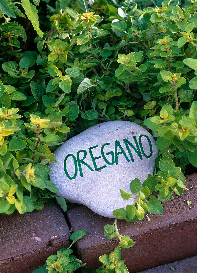 Stones as name tags for herbs