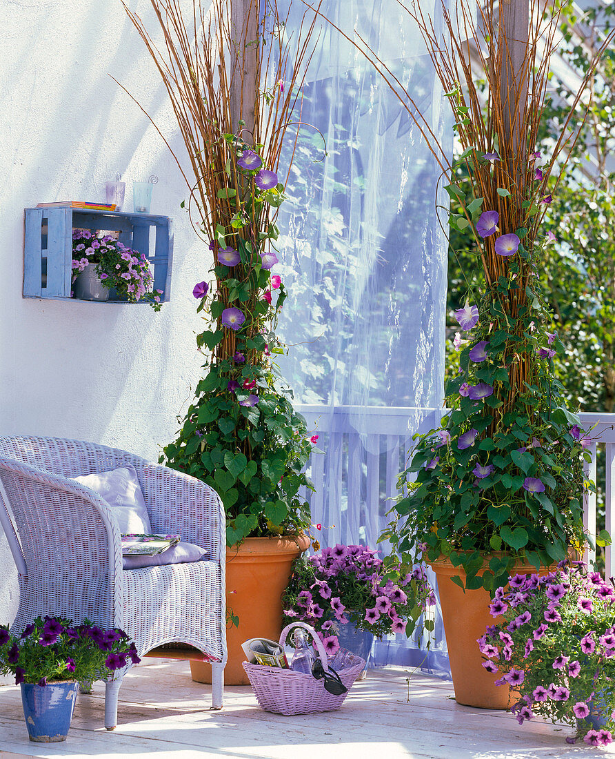 Privacy screen suspended from ledge above cemented beams