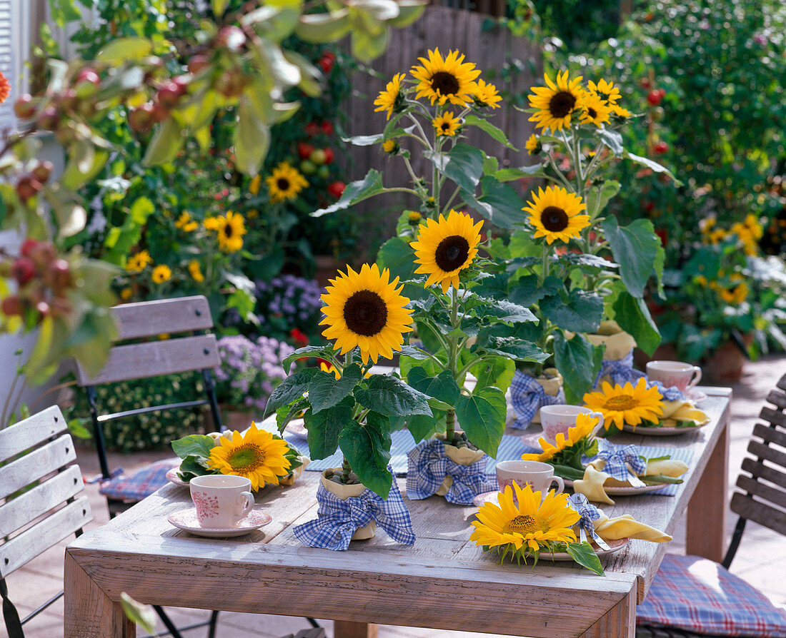 Table decoration with sunflowers