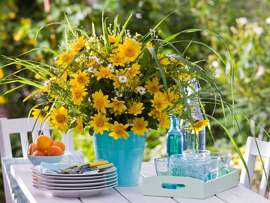 Helianthus decapetalus (Stauden - Sonnenblumen), Aster (Herbstastern), Solidago (Goldrute), Miscanthus (Chinaschilf)