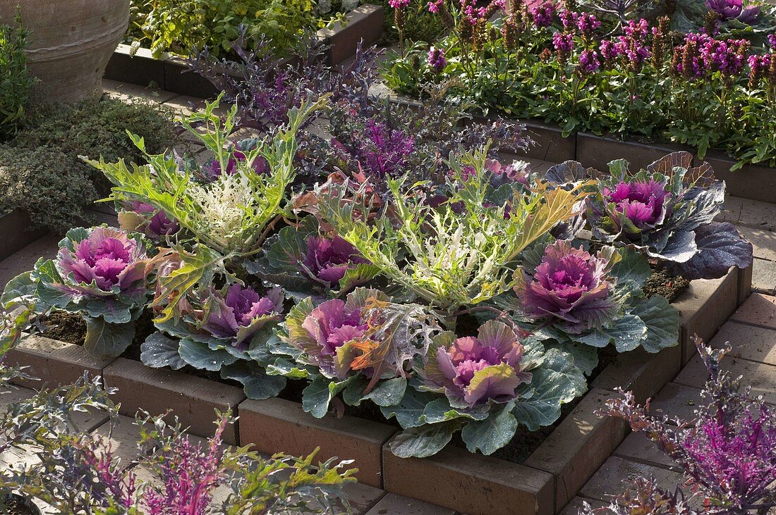 Flower bed with clinker frame