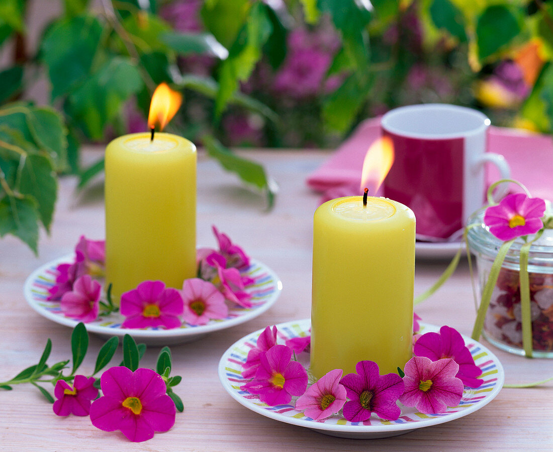 Calibrachoa (mini petunias) around candles