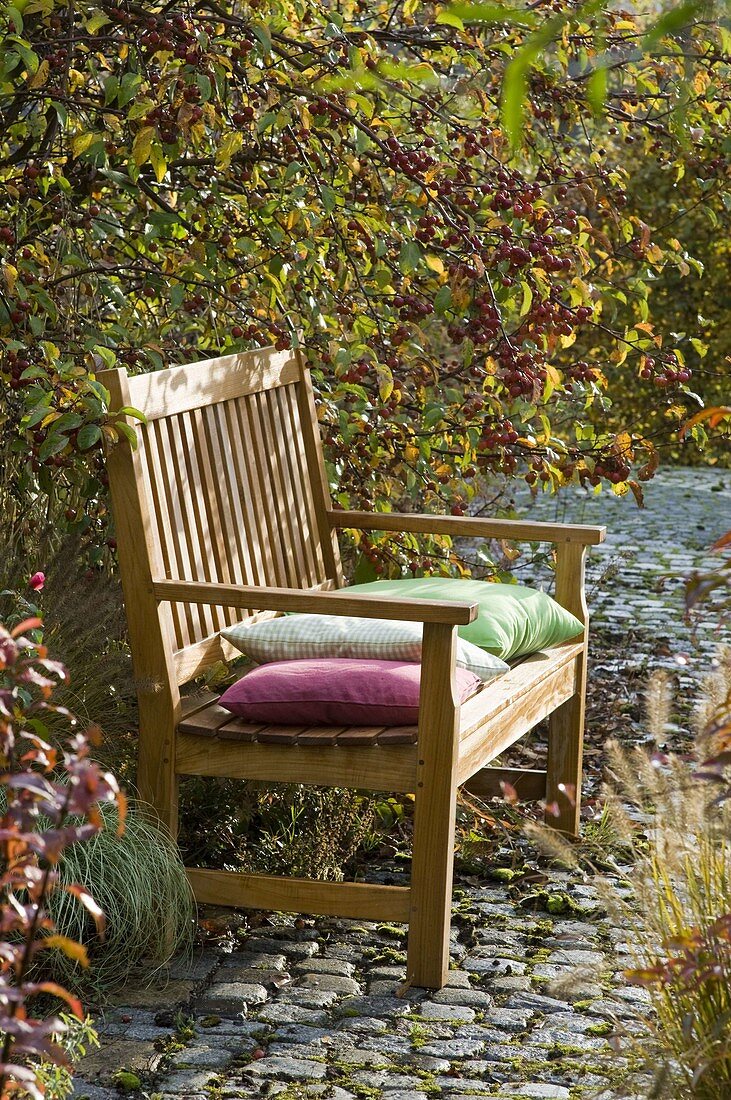 Bench made of wood under Malus (ornamental apple tree)