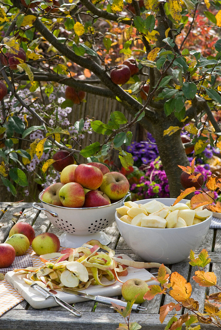 Peel and cut freshly harvested Malus (apples)