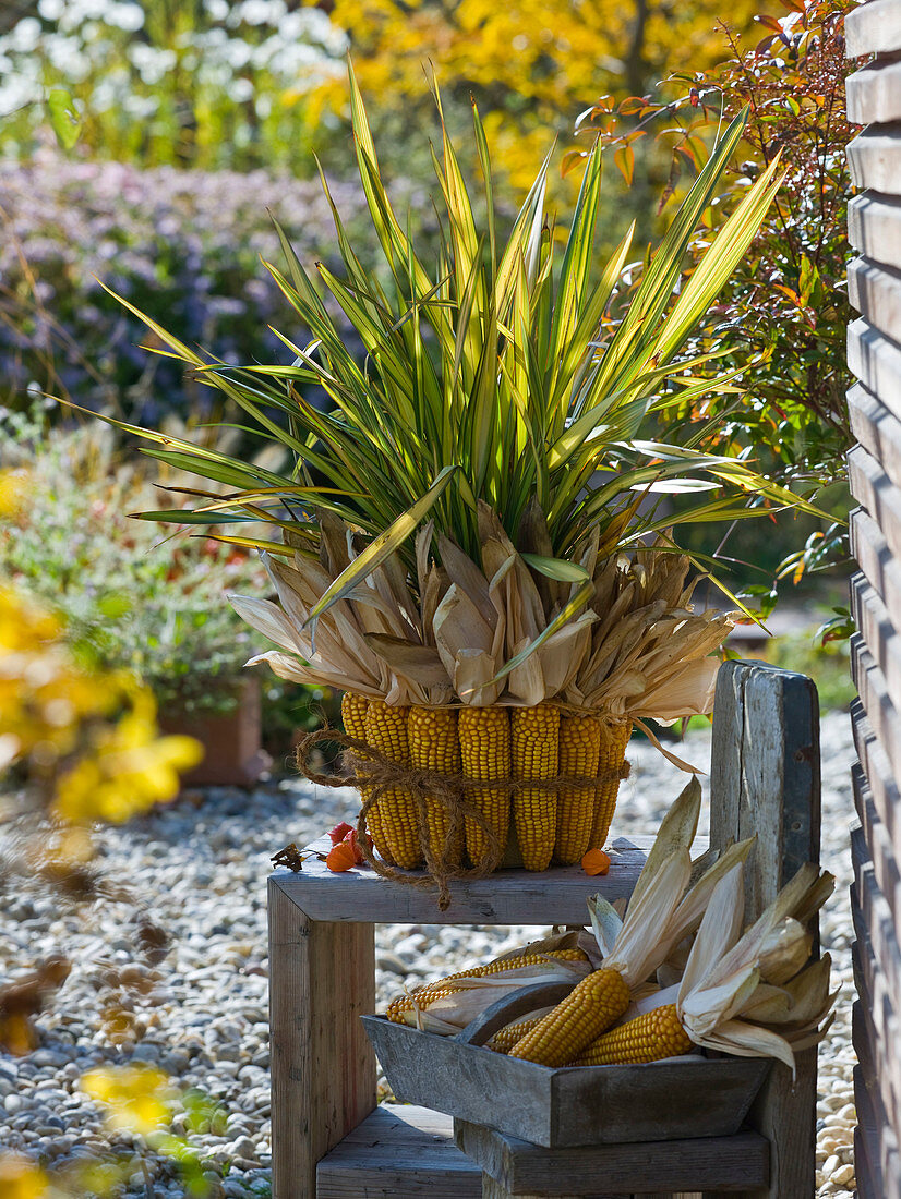 Bucket decorated with corncobs