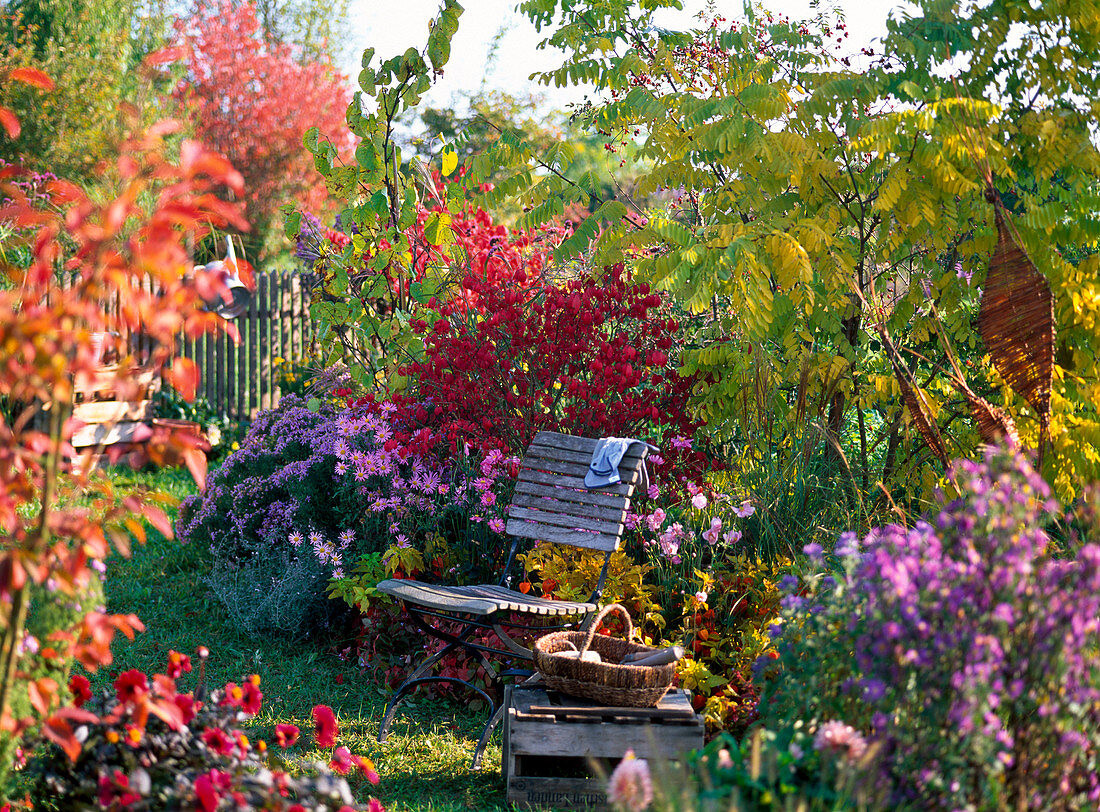 Seating area at autumn flower bed
