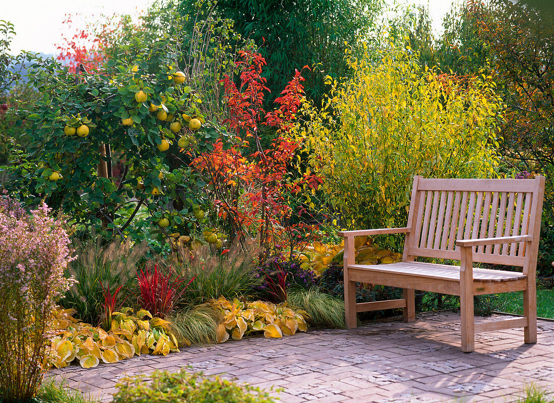 Autumn bed on terrace