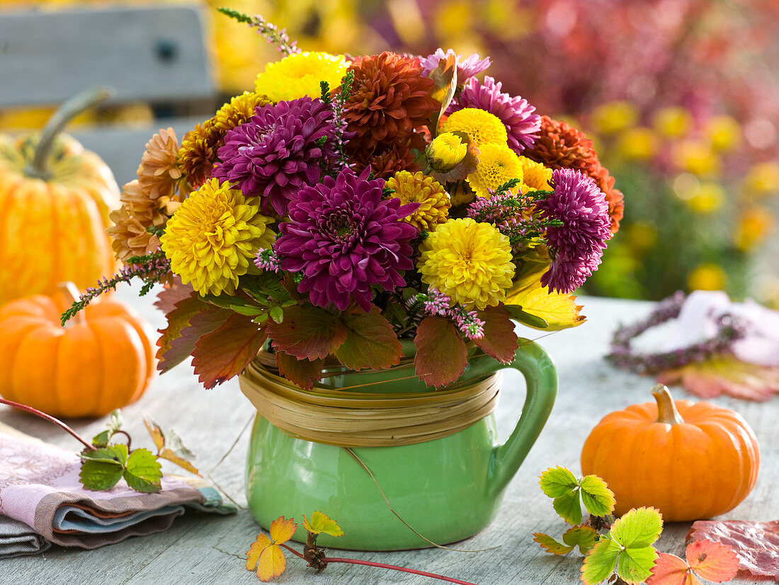 Autumn bouquet of Chrysanthemum indicum (Autumn chrysanthemum)