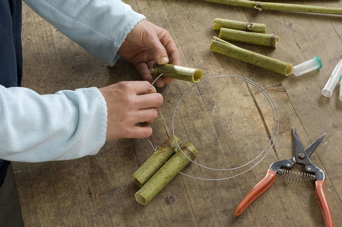 Wreath made from knotweed stems (5/9)