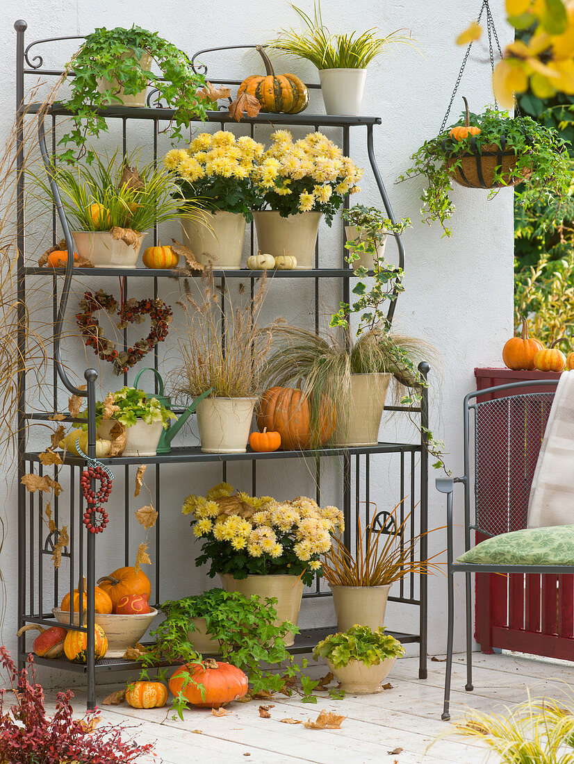 Autumn balcony with iron shelf