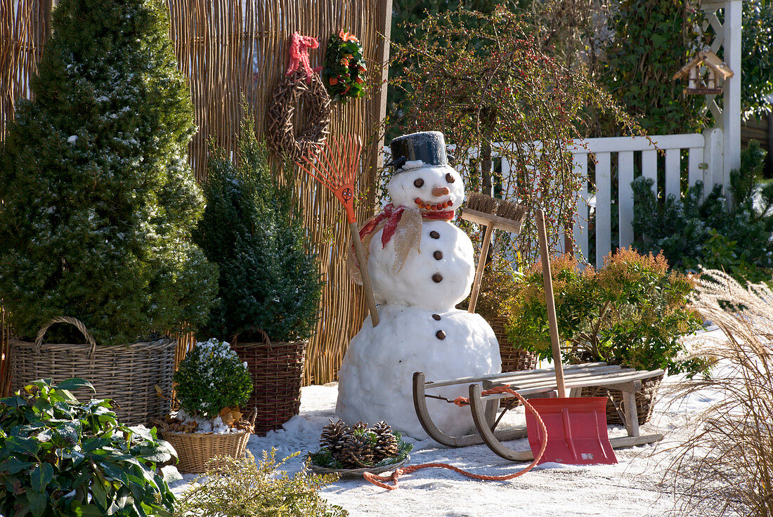 Frau schüttelt Schnee mit Besen von … – Bild kaufen – 12161650 ❘  Gartenbildagentur Friedrich Strauss