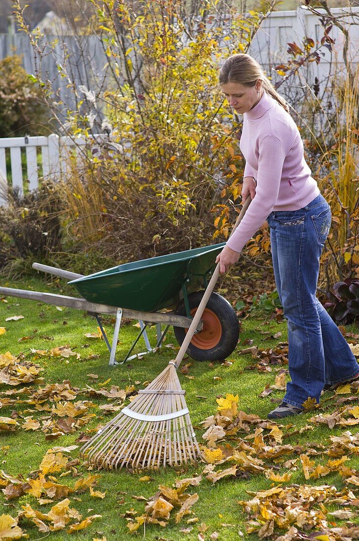 Raking leaves