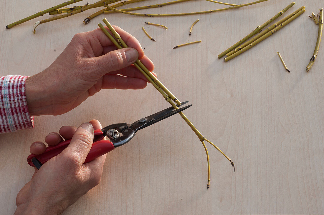 Self-made stars from twigs (2/5)