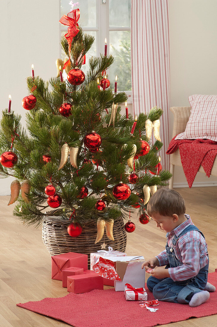 Little boy with present sitting in front of Christmas tree