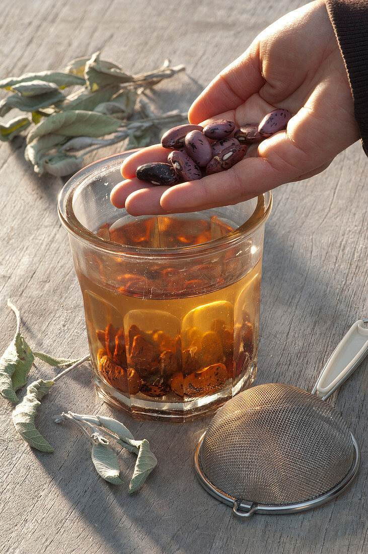 Phaseolus (beans) rather than pouring in water in sage tea